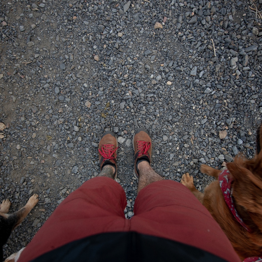 Danner Trail 2650 Brun/rød