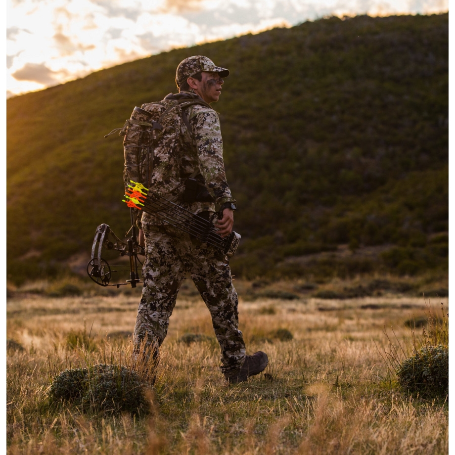 Danner Vital Brun