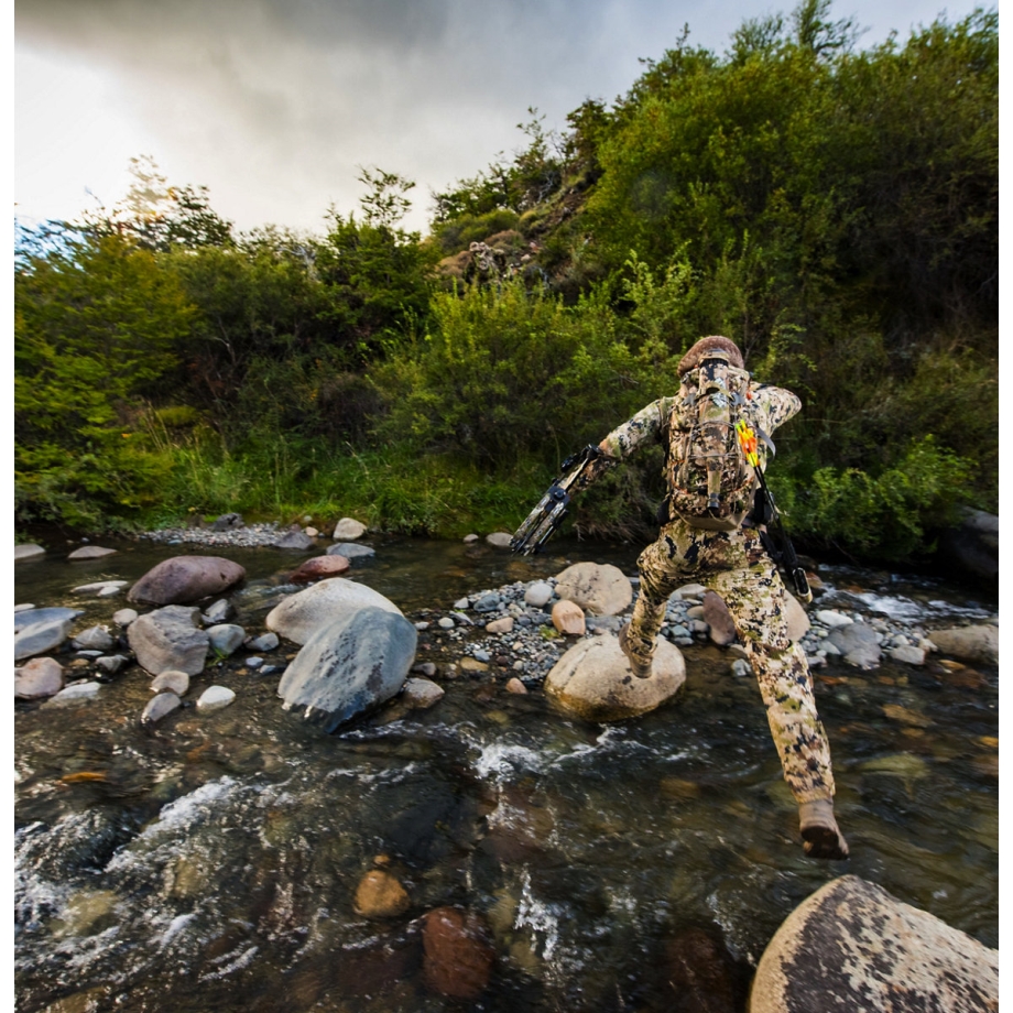 Danner Vital Brun