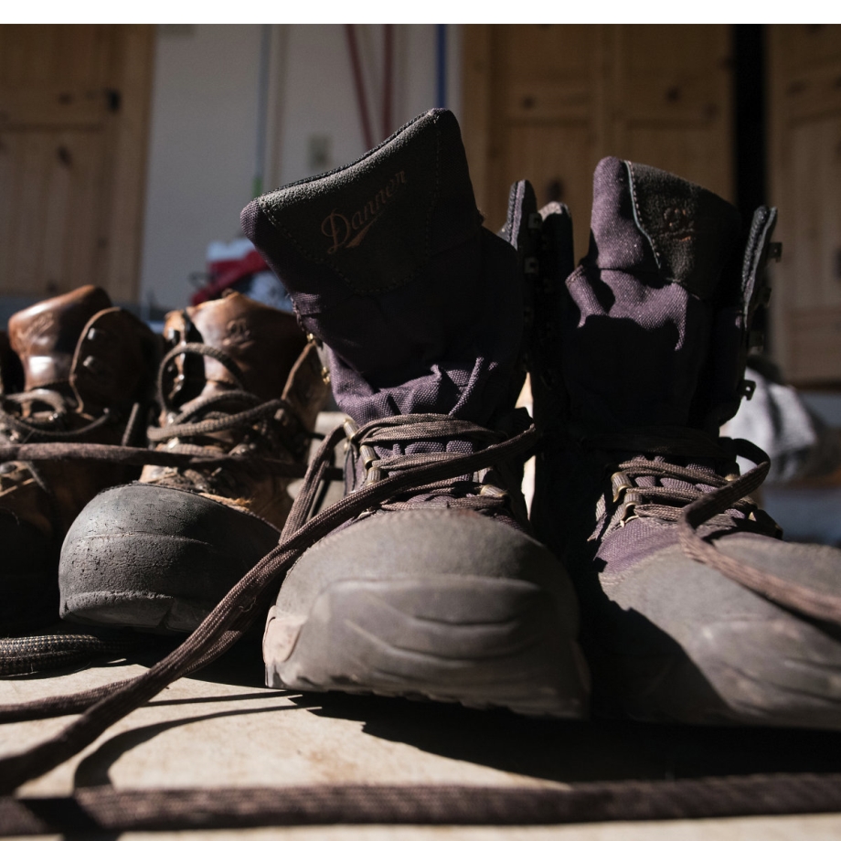 Danner Vital Brun