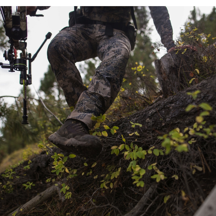 Danner Vital Brun