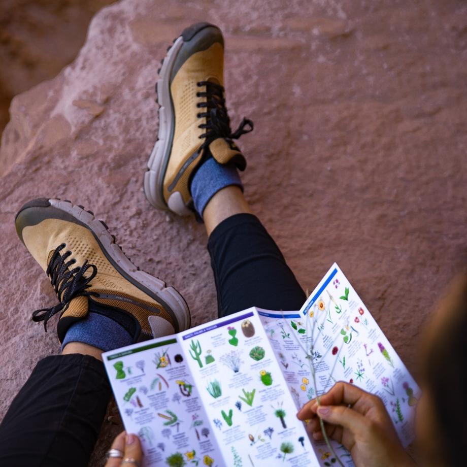 Danner Damesti 2650 Gtx Præriesand/grå