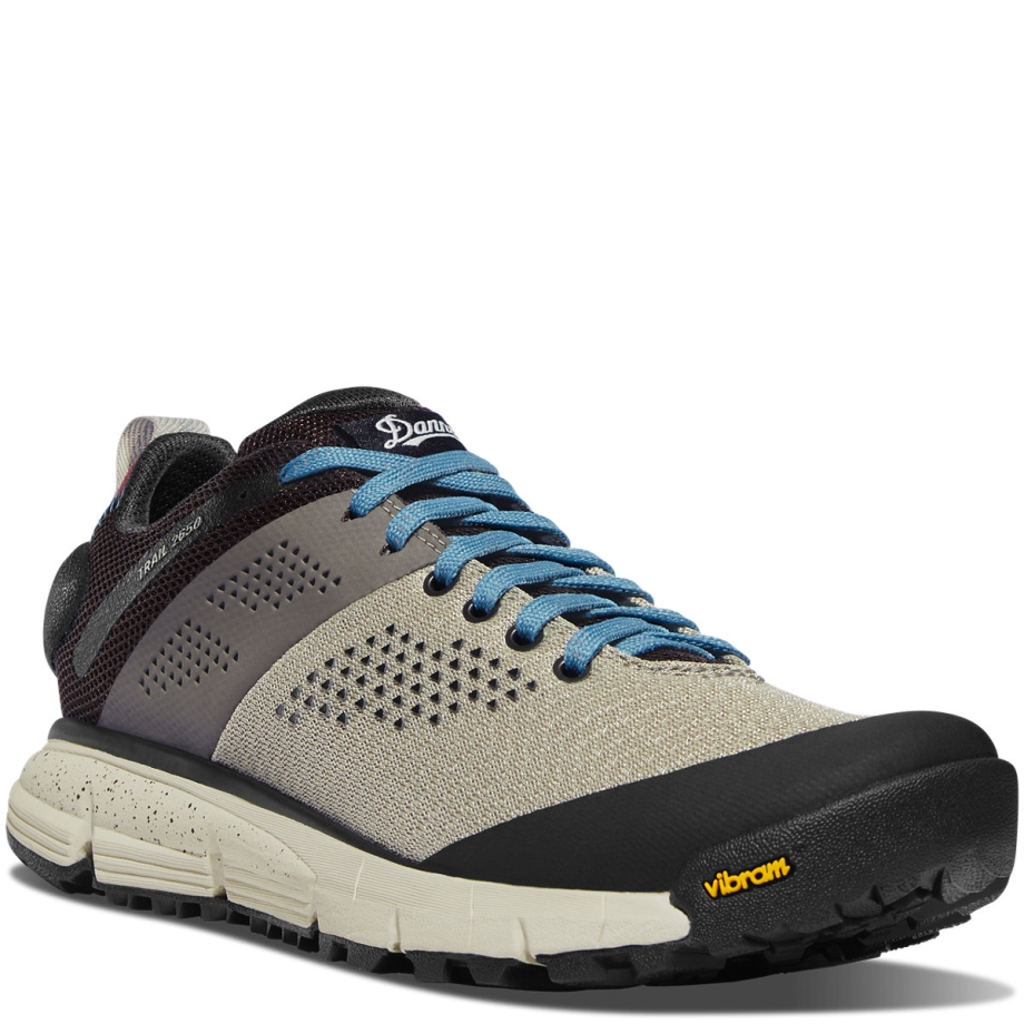 Danner Damesti 2650 Mesh Sølv Salvie/stormblå